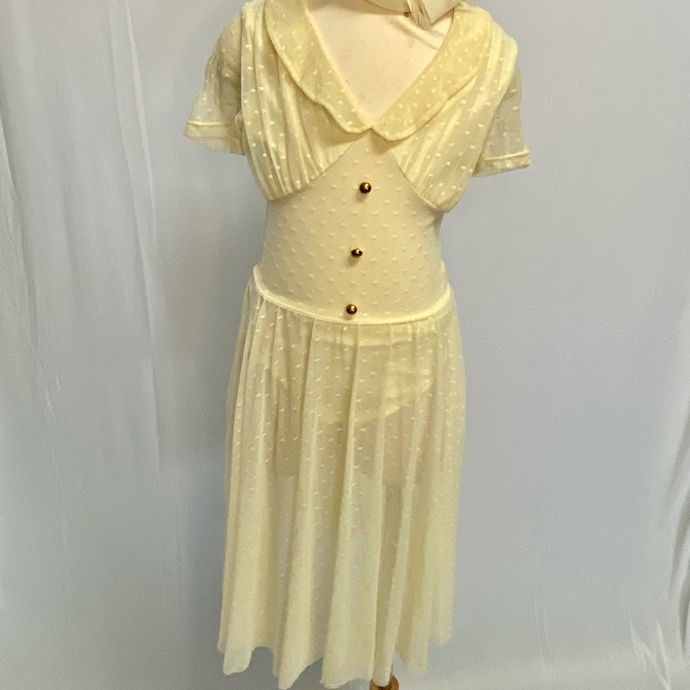 Weissman cream Swiss Dot Sheer Dress with Gold Buttons